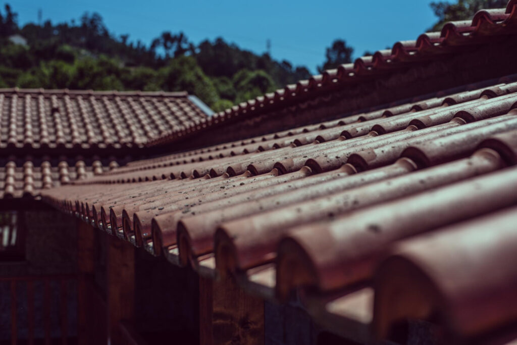 Roof Washing