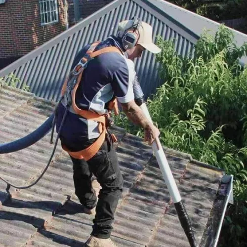 Gutter Cleaning