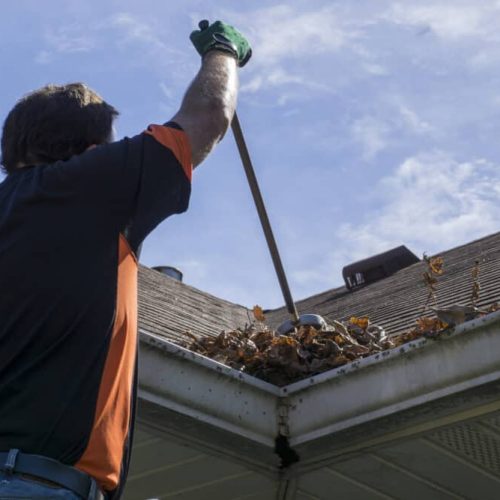 Cleaning Gutters Professional