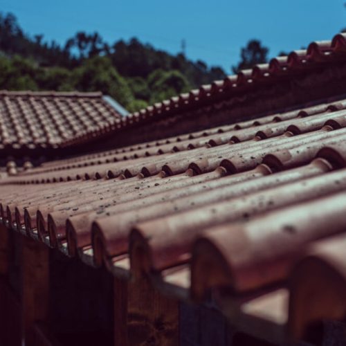 Soft Wash Roof Cleaning